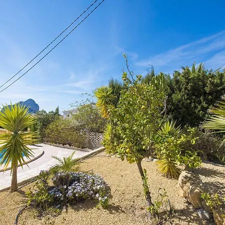 Cactus Calpe